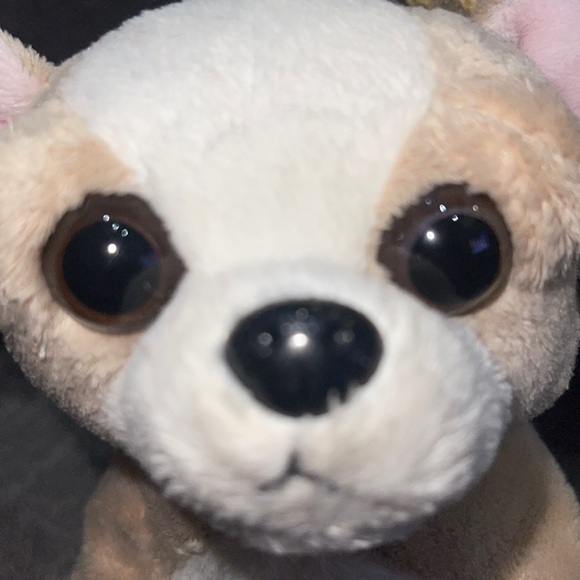 LIL’Kinz WEBKINZ Ganz CHIHUAHUA HS104 hang & butTag NoCode plush stuffed animal - Picture 3 of 8